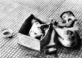 أشهر 10 صور لأطفال هزت ضمير العالم  5461